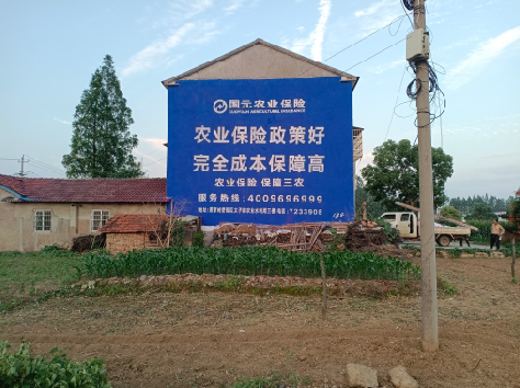  宝兴墙体广告的优劣势你知道吗？