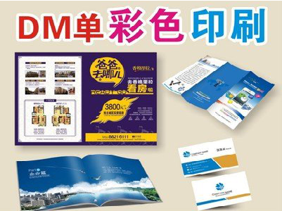  宝兴单页印刷，色彩搭配简单。